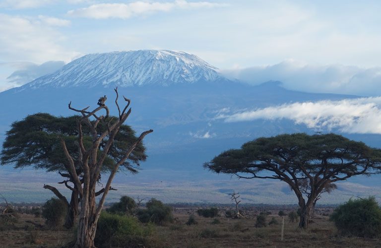 Africké safari zájezd Keňa Kilimandžáro