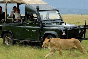 Národní park Masai Mara Keňa